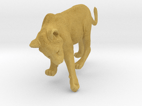 Lion 1:16 Cub reaching for something in Tan Fine Detail Plastic