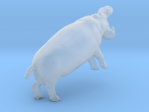 Hippopotamus 1:160 Fighting Males split part 2/2 in Clear Ultra Fine Detail Plastic