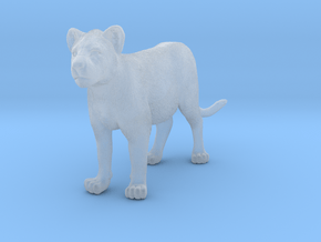 Lion 1:16 Standing Cub in Clear Ultra Fine Detail Plastic