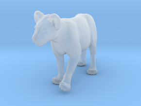 Lion 1:45 Walking Cub in Clear Ultra Fine Detail Plastic