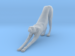 Cheetah 1:12 Stretching Male in Clear Ultra Fine Detail Plastic