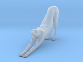 Cheetah 1:25 Stretching Male in Clear Ultra Fine Detail Plastic