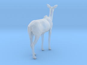 Greater Kudu 1:45 Chewing Female in Clear Ultra Fine Detail Plastic