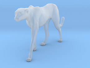 Cheetah 1:25 Walking Female 4 in Clear Ultra Fine Detail Plastic