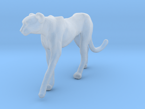Cheetah 1:76 Walking Male 4 in Clear Ultra Fine Detail Plastic