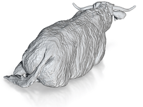 Highland Cattle 1:35 Lying Female in Clear Ultra Fine Detail Plastic