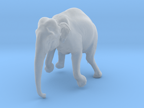 Indian Elephant 1:20 Female Hanging in Crane in Clear Ultra Fine Detail Plastic