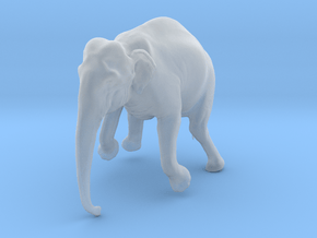 Indian Elephant 1:45 Female Hanging in Crane in Clear Ultra Fine Detail Plastic