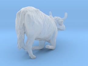 Highland Cattle 1:72 Female lying down in Clear Ultra Fine Detail Plastic