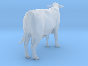 Brangus 1:45 Standing Young Bull in Clear Ultra Fine Detail Plastic