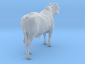 1/2 Brahman x 1/2 Brangus 1:16 Standing Heifer 1 in Clear Ultra Fine Detail Plastic