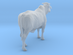1/2 Brahman x 1/2 Brangus 1:20 Standing Heifer 1 in Clear Ultra Fine Detail Plastic