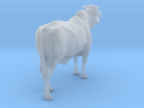 1/2 Brahman x 1/2 Brangus 1:35 Standing Heifer 1 in Clear Ultra Fine Detail Plastic