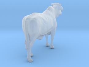 1/2 Brahman x 1/2 Brangus 1:76 Standing Heifer 1 in Clear Ultra Fine Detail Plastic