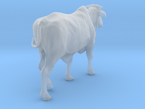 1/2 Brahman x 1/2 Brangus 1:32 Walking Heifer in Clear Ultra Fine Detail Plastic