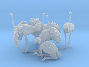 Ostrich Set 1:87 five different pieces in Clear Ultra Fine Detail Plastic