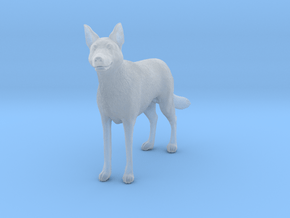 Saarloos Wolfdog 1:20 Standing Male in Clear Ultra Fine Detail Plastic