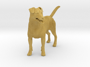 Jack Russell Terrier 1:6 Standing Male in Tan Fine Detail Plastic