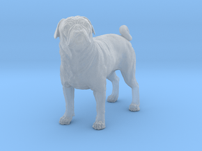 Pug 1:9 Standing Male in Clear Ultra Fine Detail Plastic