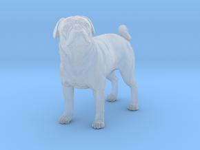 Pug 1:22 Standing Male in Clear Ultra Fine Detail Plastic