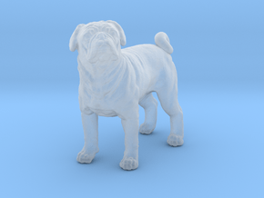 Pug 1:45 Standing Male in Clear Ultra Fine Detail Plastic