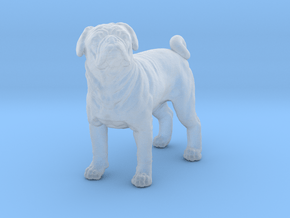 Pug 1:48 Standing Male in Clear Ultra Fine Detail Plastic