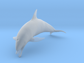 Bottlenose Dolphin 1:12 Mouth open in Clear Ultra Fine Detail Plastic