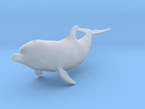 Bottlenose Dolphin 1:6 Calf 2 in Clear Ultra Fine Detail Plastic