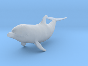 Bottlenose Dolphin 1:12 Calf 2 in Clear Ultra Fine Detail Plastic