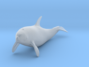 Killer Whale 1:45 Swimming Female 1 in Clear Ultra Fine Detail Plastic