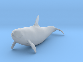 Killer Whale 1:22 Swimming Female 2 in Clear Ultra Fine Detail Plastic