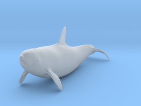 Killer Whale 1:45 Swimming Female 2 in Clear Ultra Fine Detail Plastic