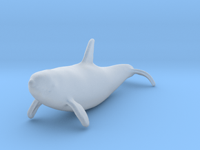 Killer Whale 1:160 Swimming Female 2 in Clear Ultra Fine Detail Plastic