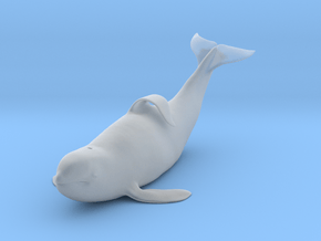 Killer Whale 1:32 Captive male out of the water in Clear Ultra Fine Detail Plastic