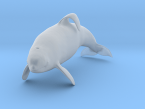 Killer Whale 1:32 Captive male swimming in Clear Ultra Fine Detail Plastic