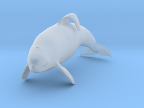 Killer Whale 1:72 Captive male swimming in Clear Ultra Fine Detail Plastic