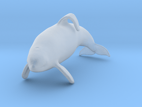 Killer Whale 1:160 Captive male swimming in Clear Ultra Fine Detail Plastic