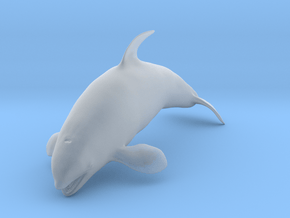 Killer Whale 1:25 Female with mouth open 1 in Clear Ultra Fine Detail Plastic