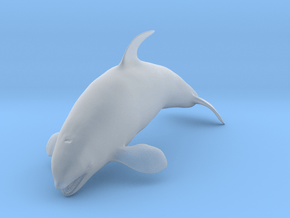 Killer Whale 1:45 Female with mouth open 1 in Clear Ultra Fine Detail Plastic