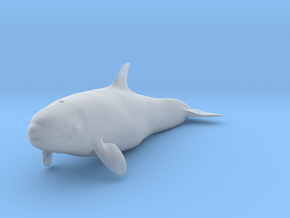 Killer Whale 1:12 Calf 1 in Clear Ultra Fine Detail Plastic