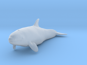 Killer Whale 1:45 Calf 1 in Clear Ultra Fine Detail Plastic