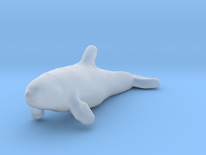 Killer Whale 1:160 Calf 1 in Clear Ultra Fine Detail Plastic