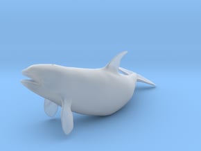 Killer Whale 1:45 Female with mouth open 2 in Clear Ultra Fine Detail Plastic