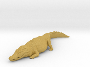 Nile Crocodile 1:45 Sunbathing in Tan Fine Detail Plastic