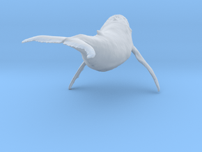 Humpback Whale 1:64 Swimming Male in Clear Ultra Fine Detail Plastic