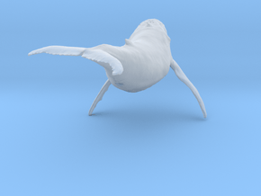 Humpback Whale 1:120 Swimming Male in Clear Ultra Fine Detail Plastic