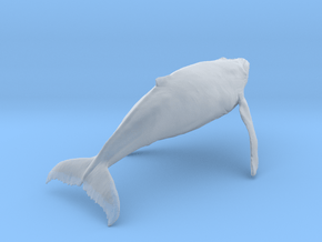 Humpback Whale 1:64 Swimming Female in Clear Ultra Fine Detail Plastic