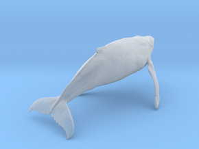 Humpback Whale 1:120 Swimming Female in Clear Ultra Fine Detail Plastic