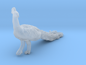 Indian Peafowl 1:64 Walking Peacock in Clear Ultra Fine Detail Plastic