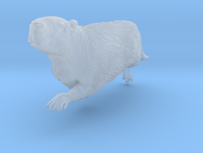 Capybara 1:20 Swimming Male in Clear Ultra Fine Detail Plastic